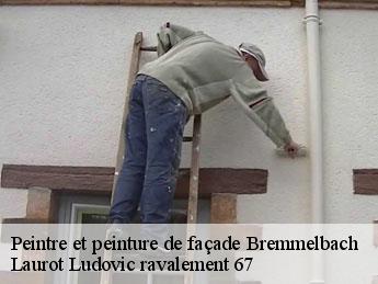 Peintre et peinture de façade  bremmelbach-67160 Laurot Ludovic ravalement 67